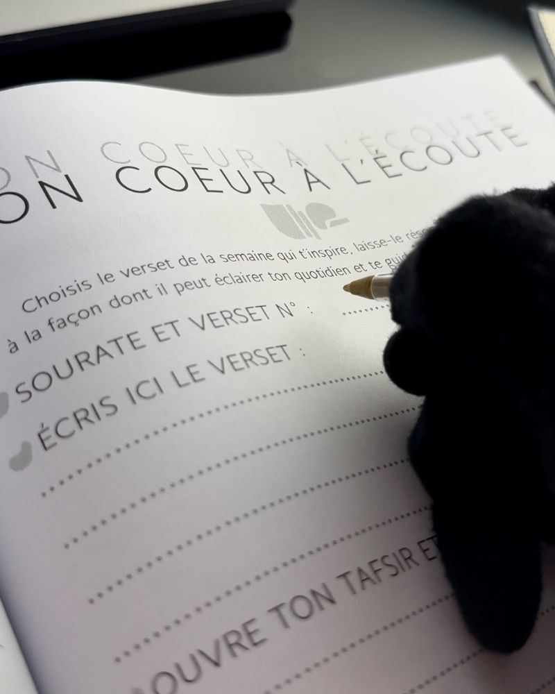 Cheminement semestriel - Vert